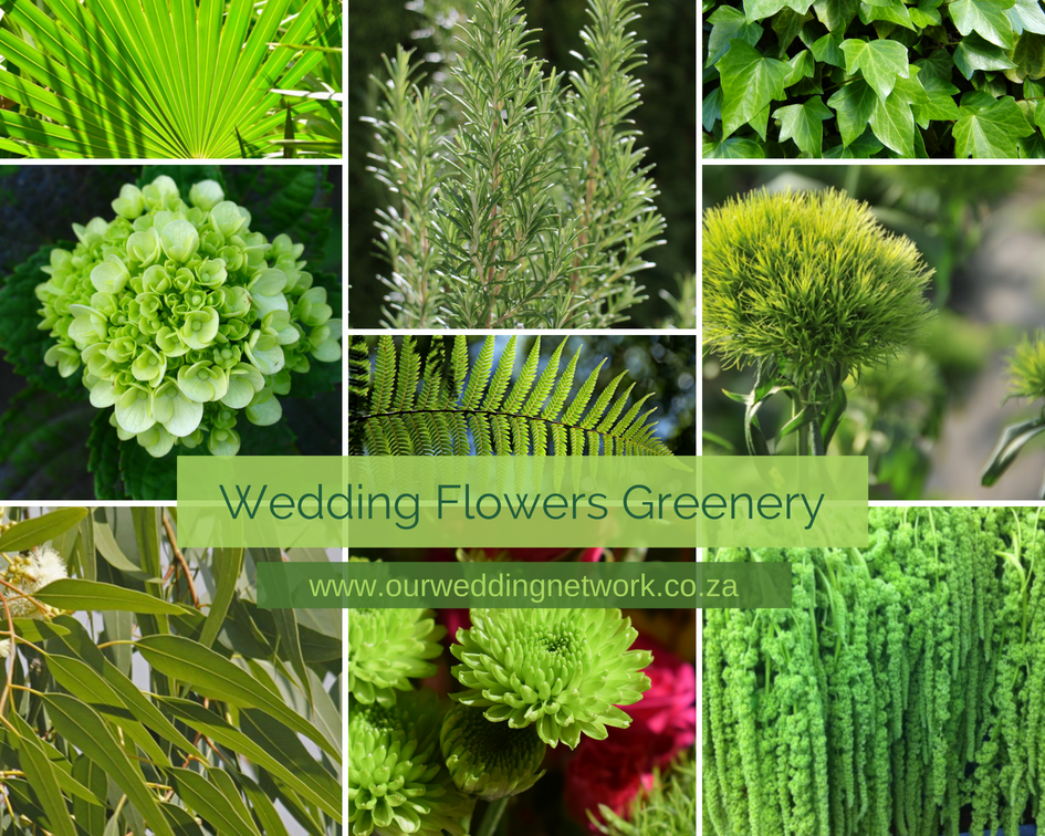 Wedding Flowers-Greenery