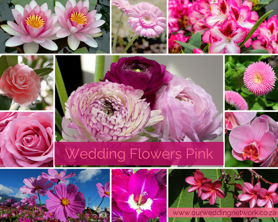 Wedding Flowers-Pink