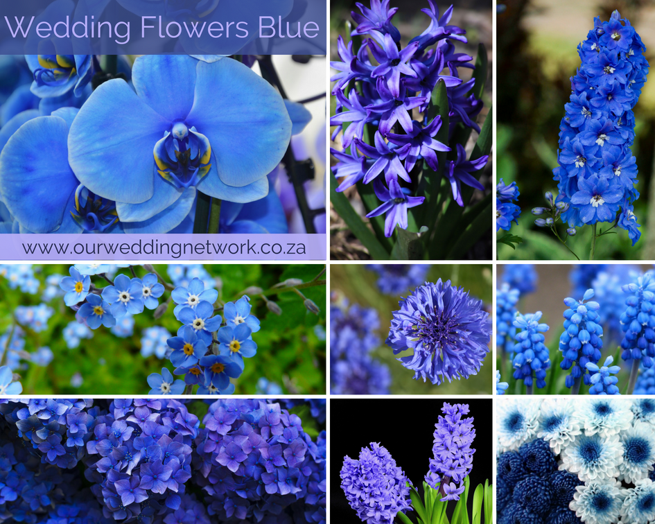 Wedding Flowers-Blue