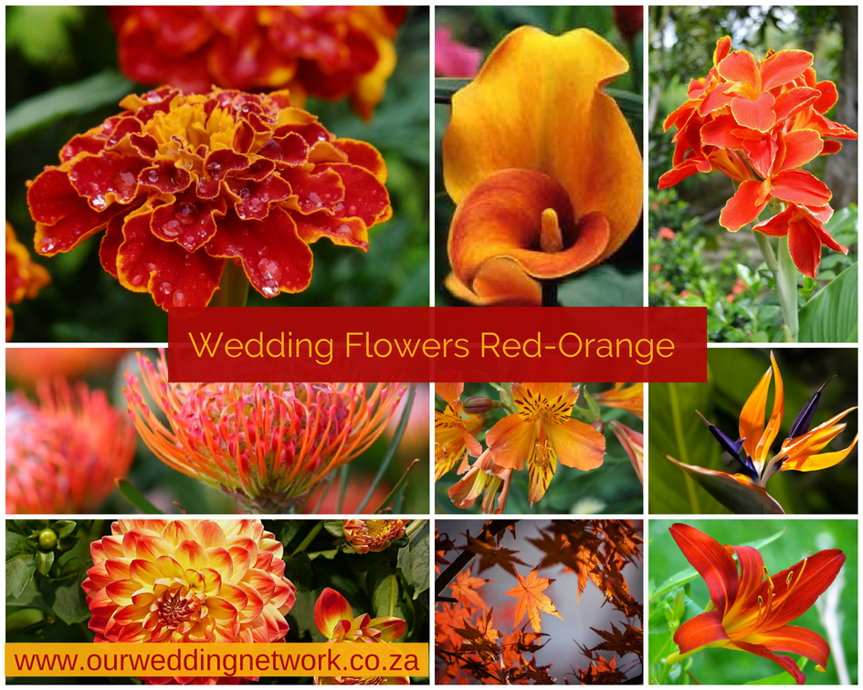 Wedding Flowers-Red-Orange