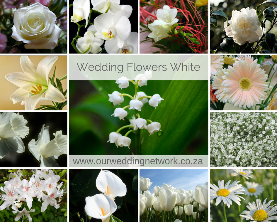 Wedding Flowers-White